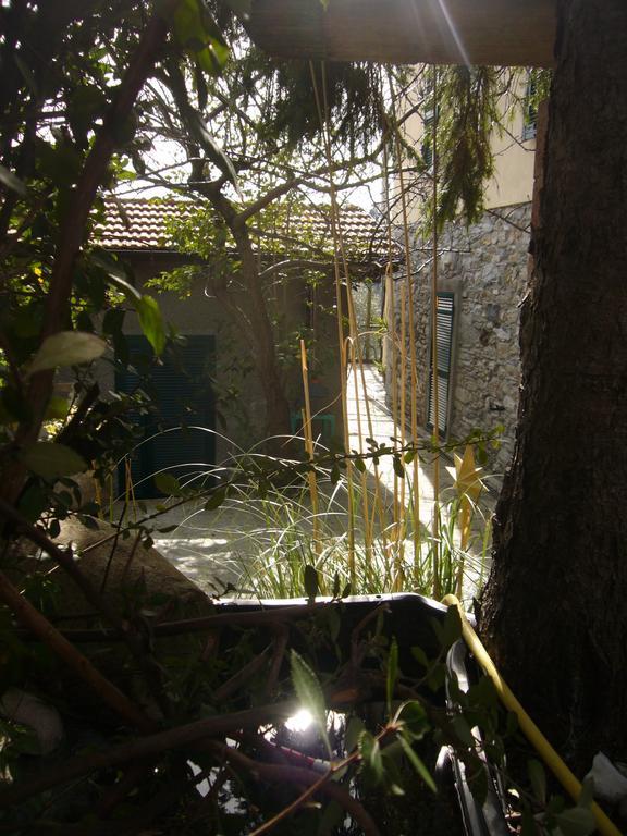 Agriturismo Olivarancio Leivi Luaran gambar